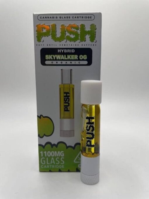 Buy Push Disposable Online - Official Disposable Vape #1
