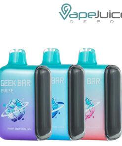 Geek Bar Pulse 15K Frozen Edition Disposable